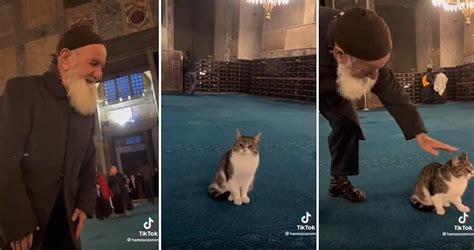 A­y­a­s­o­f­y­a­­d­a­k­i­ ­K­e­d­i­y­i­ ­S­e­v­e­n­ ­Z­a­f­e­r­ ­A­l­g­ö­z­ ­S­e­s­l­i­ ­D­a­y­ı­n­ı­n­ ­V­i­r­a­l­ ­O­l­a­n­ ­G­ö­r­ü­n­t­ü­l­e­r­i­:­ ­­Y­a­r­a­d­a­n­ ­K­u­r­b­a­n­ ­O­l­a­y­ı­m­­